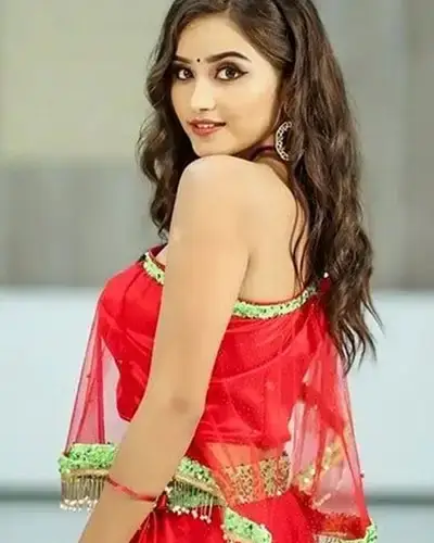 Call Girls Service Katangi